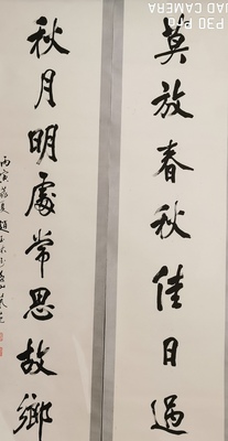 莫教春秋佳日过 （书法）