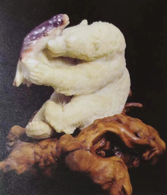 收获