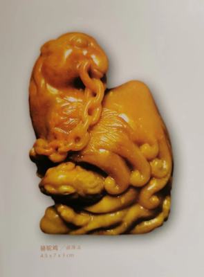 骆驼鸡