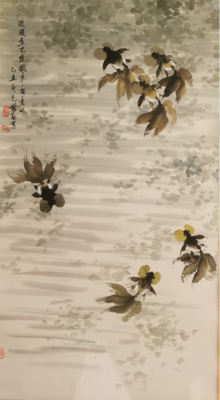 波暖鱼儿乐