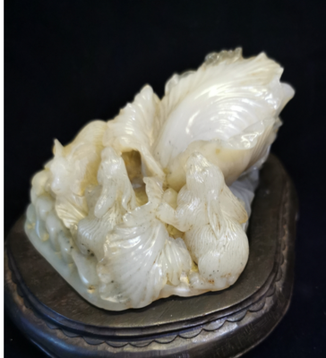 白菜兔